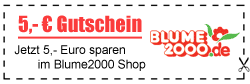 5,- € Gutschein für Blume2000
